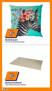 Buitenkussen aanbieding bij Action – geldig van 22.04.2026 t/m 28.04.2026