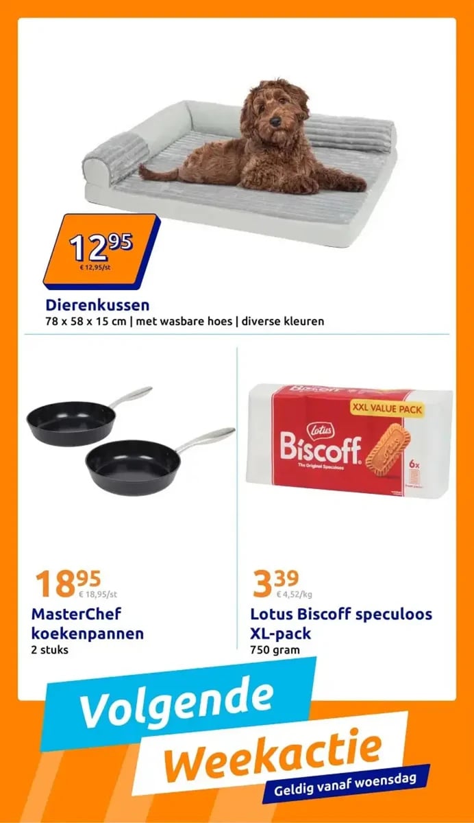 Action folder – pagina 8
