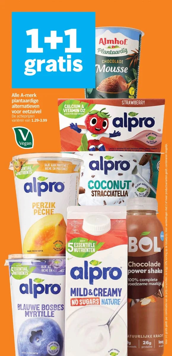 Albert Heijn folder – pagina 13