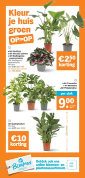AH Spathiphyllum aanbieding bij Albert Heijn – geldig van 05.01.2026 t/m 11.01.2026