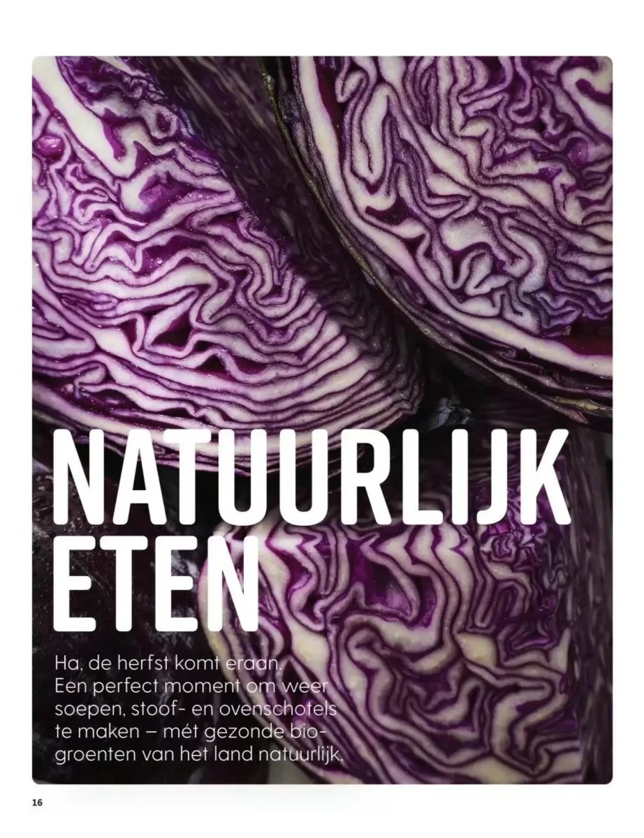 Albert Heijn folder – pagina 16