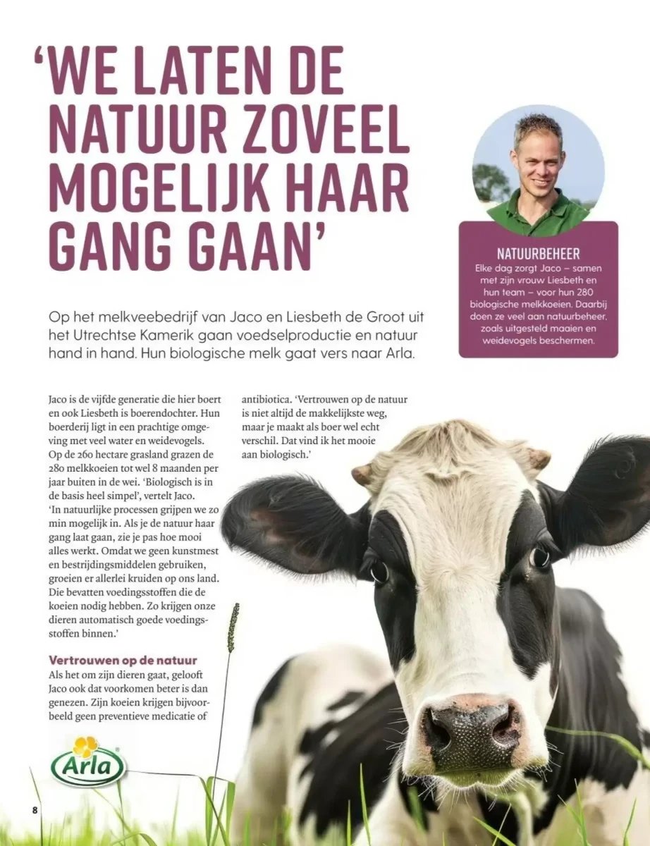 Albert Heijn folder – pagina 8