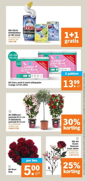 AH Olijfboom potmaat Ø 21 cm of dipladenia potmaat Ø 19 cm aanbieding bij Albert-heijn – geldig van 07.04.2026 t/m 12.04.2026