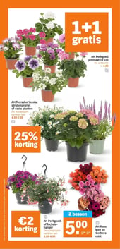 AH Perkgoed potmaat 12 cm aanbieding bij Albert-heijn – geldig van 13.04.2026 t/m 19.04.2026