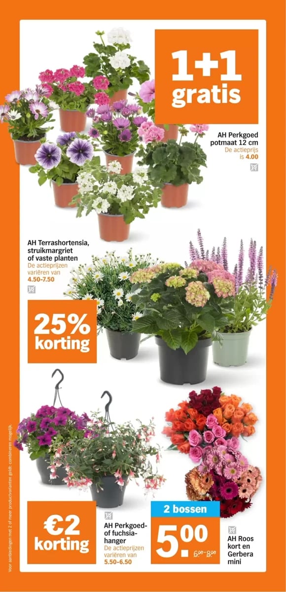Albert Heijn folder – pagina 32