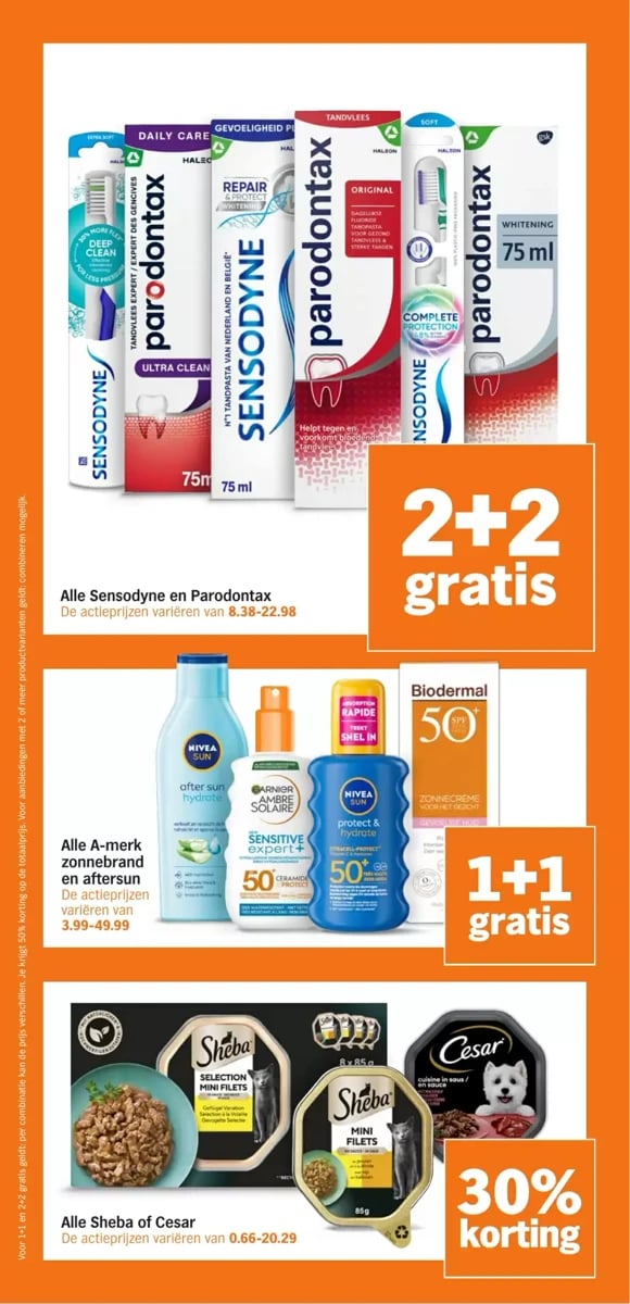 Albert Heijn folder – pagina 31