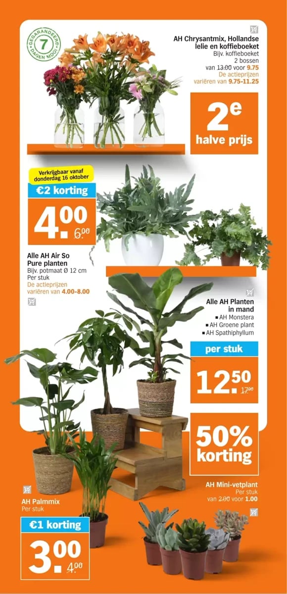 Albert Heijn folder – pagina 35