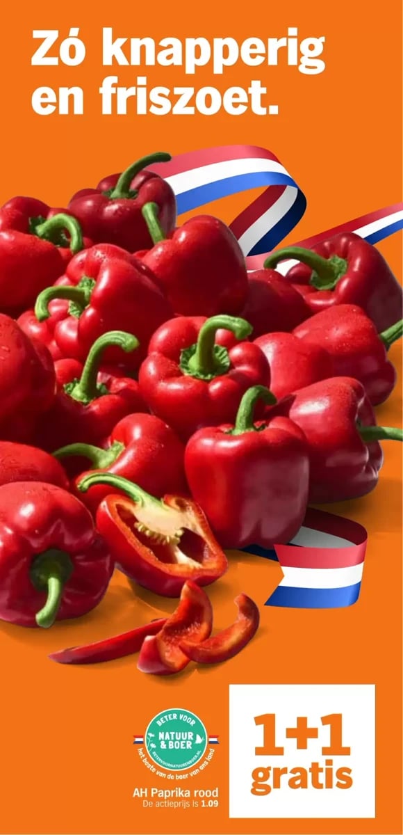 Albert Heijn folder – pagina 13