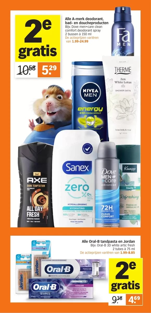 Albert Heijn folder – pagina 13
