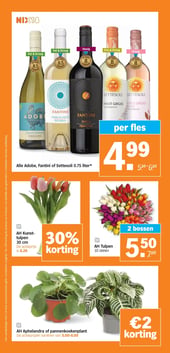 AH Aphelandra of pannenkoekenplant aanbieding bij Albert-heijn – geldig van 23.02.2026 t/m 01.03.2026