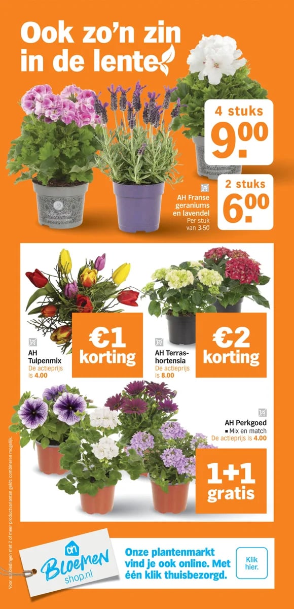 Albert Heijn folder – pagina 30