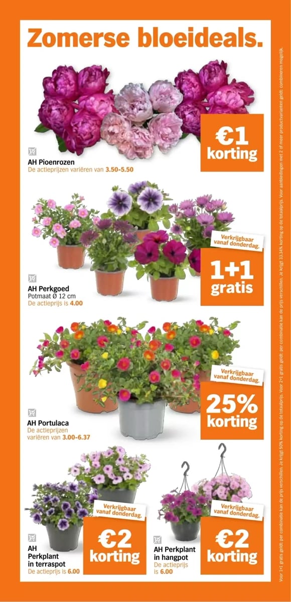 Albert Heijn folder – pagina 34