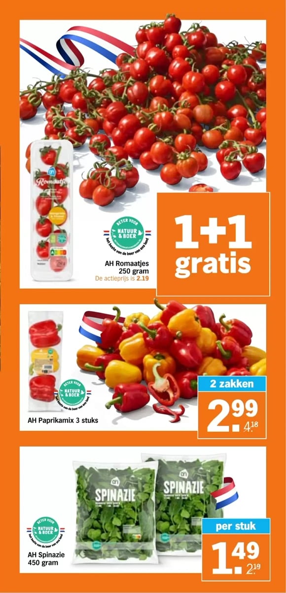 Albert Heijn folder – pagina 8