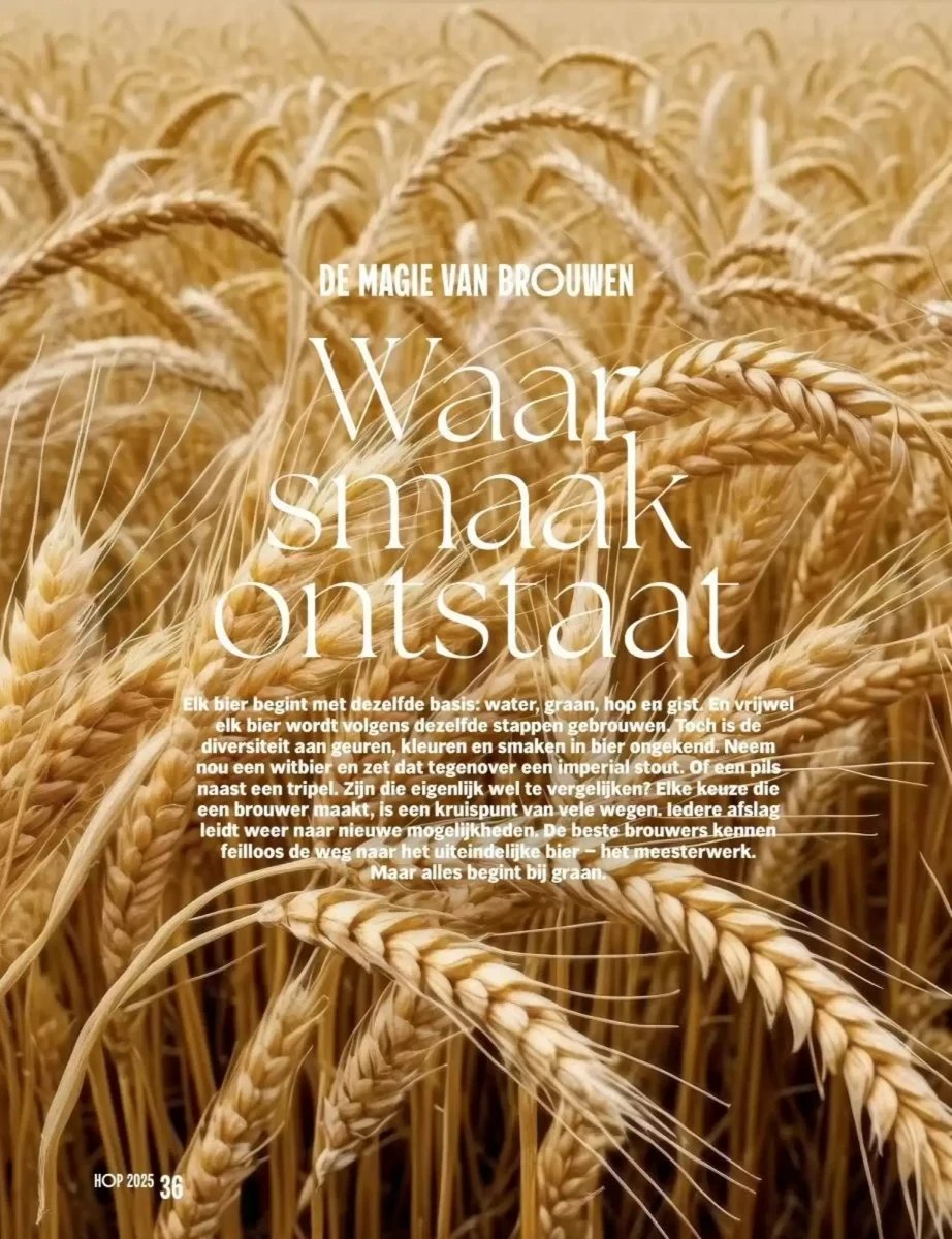 Albert Heijn folder – pagina 36