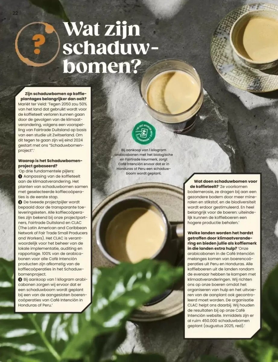 Albert Heijn folder – pagina 39