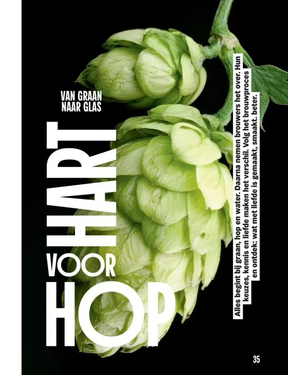 Albert Heijn folder – pagina 35