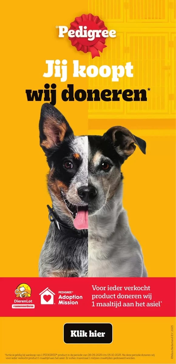 Albert Heijn folder – pagina 43
