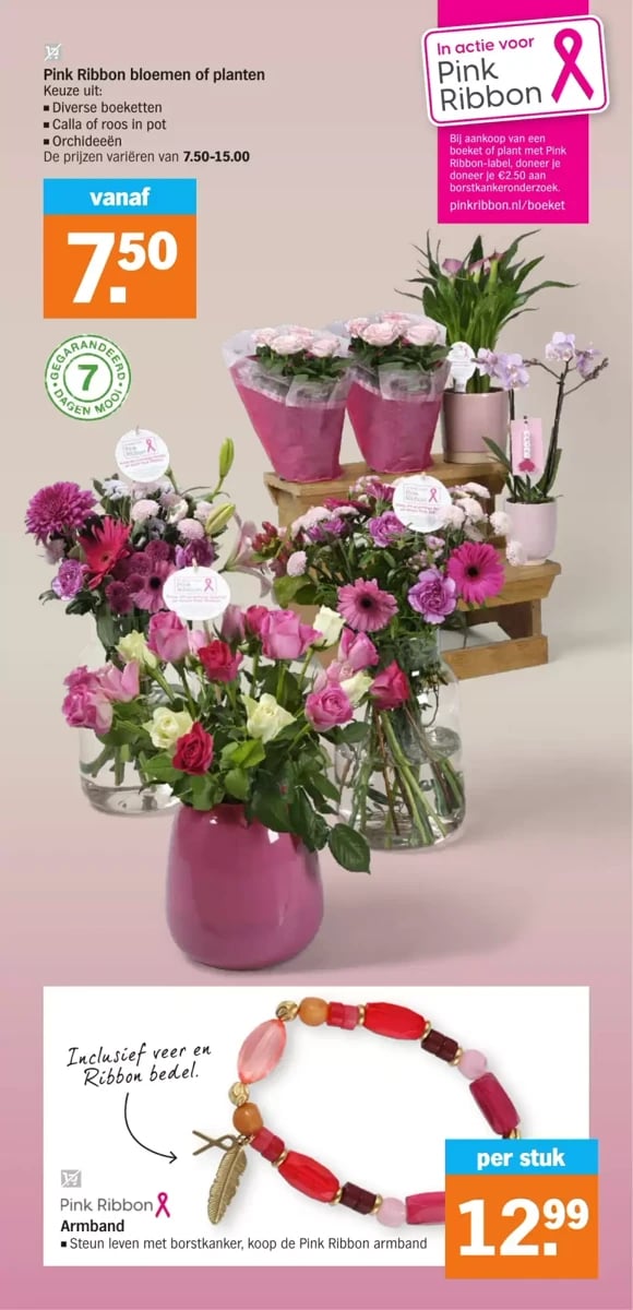 Albert Heijn folder – pagina 36