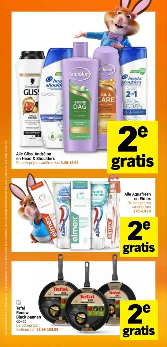 Albert Heijn folder – pagina 13