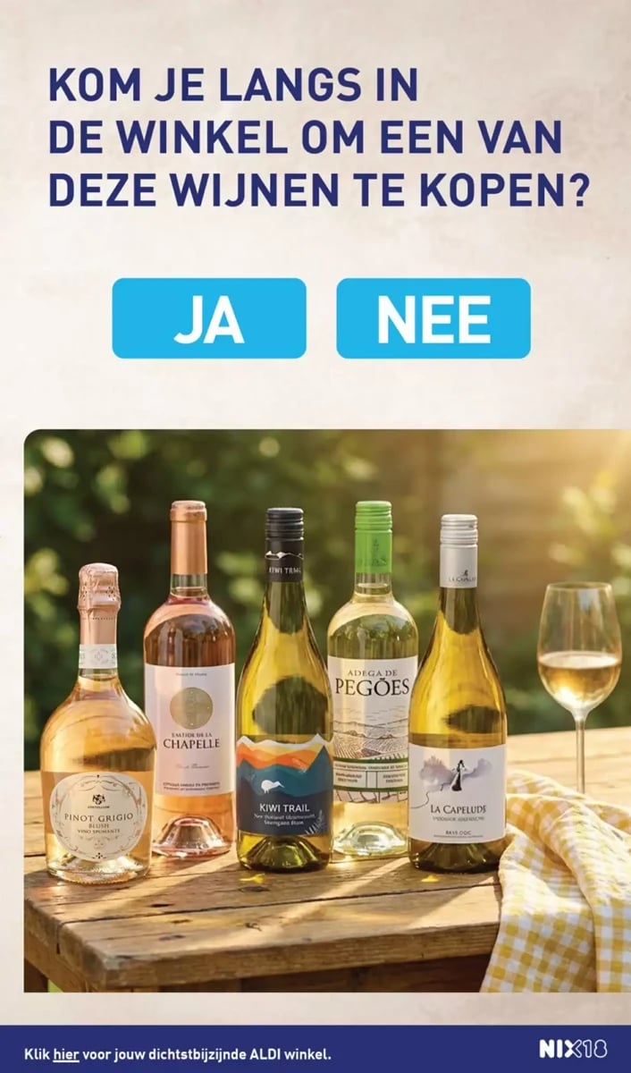 ALDI folder – pagina 17