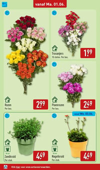 Zandkruid aanbieding bij Aldi – geldig van 01.06.2026 t/m 07.06.2026