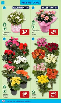 Rozen aanbieding bij Aldi – geldig van 02.02.2026 t/m 08.02.2026