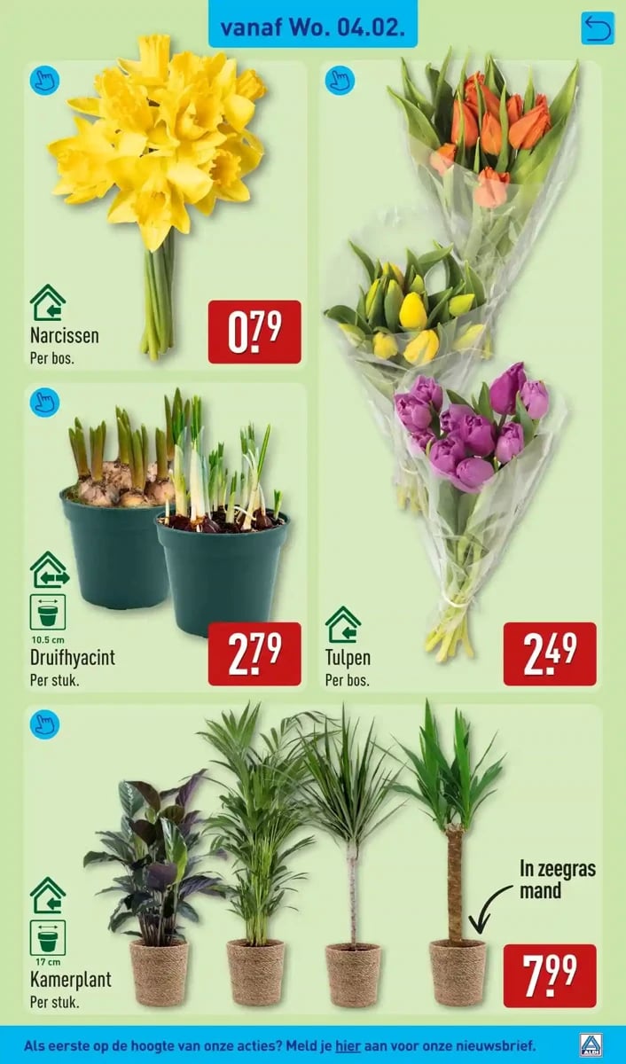 ALDI folder – pagina 31