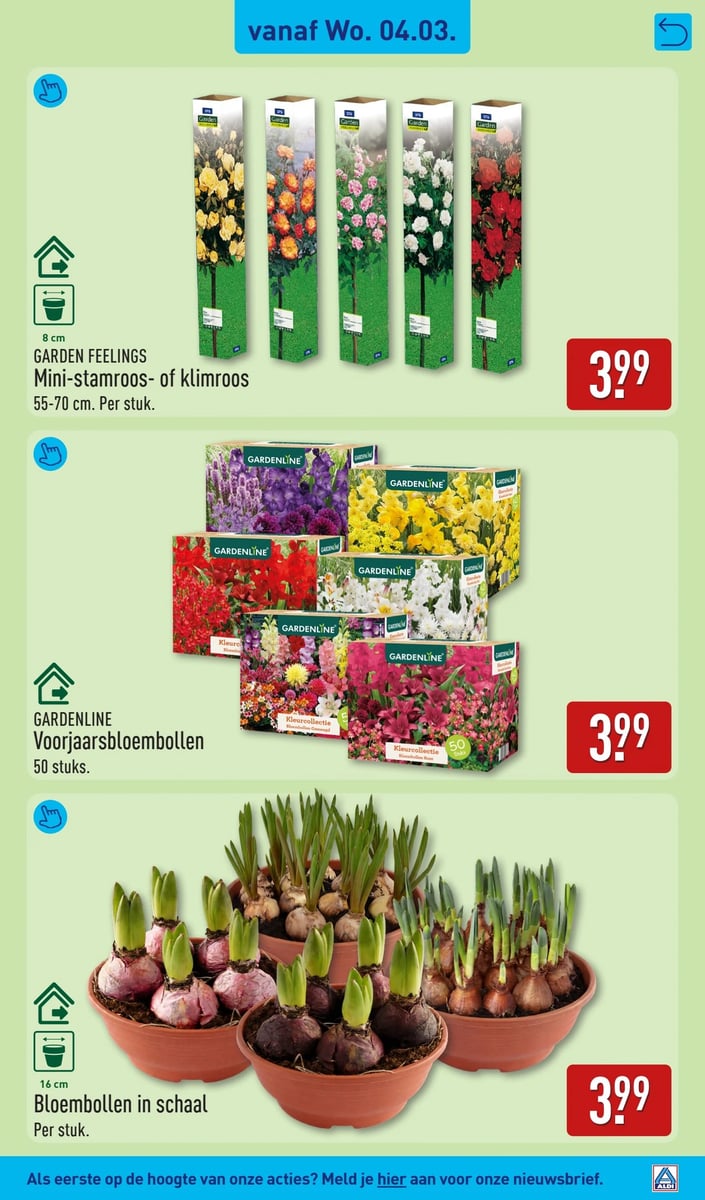 ALDI folder – pagina 31