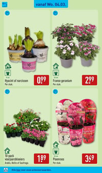 Franse geranium aanbieding bij Aldi – geldig van 02.03.2026 t/m 08.03.2026
