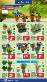 GARDENLINE Nelken aanbieding bij Aldi – geldig van 09.04.2026 t/m 12.04.2026