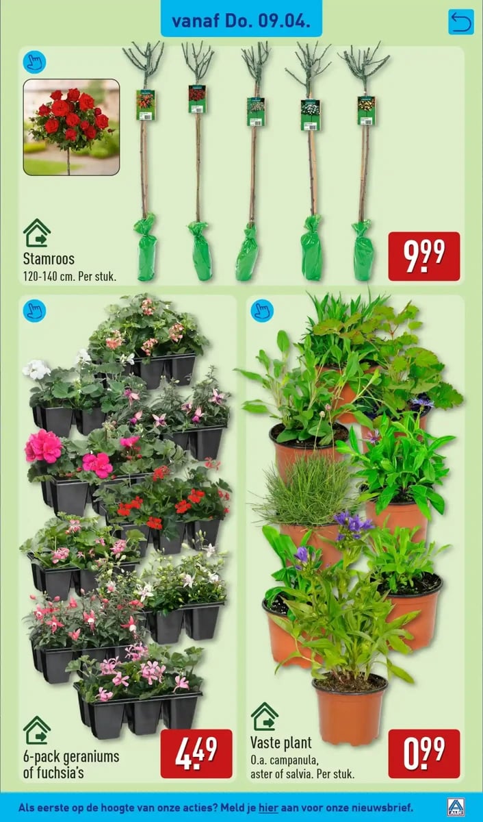 ALDI folder – pagina 39
