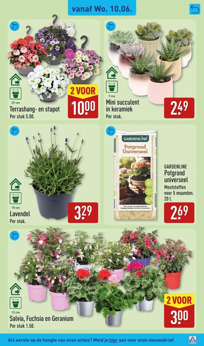 ALDI folder – pagina 31