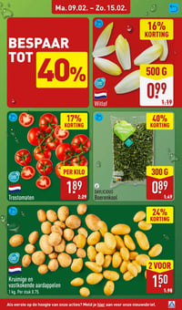 Witlof aanbieding bij Aldi – geldig van 09.02.2026 t/m 15.02.2026
