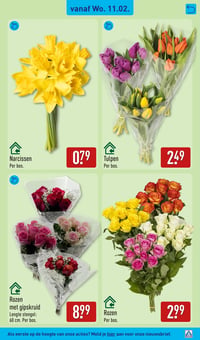 Narcissen aanbieding bij Aldi – geldig van 11.02.2026 t/m 15.02.2026