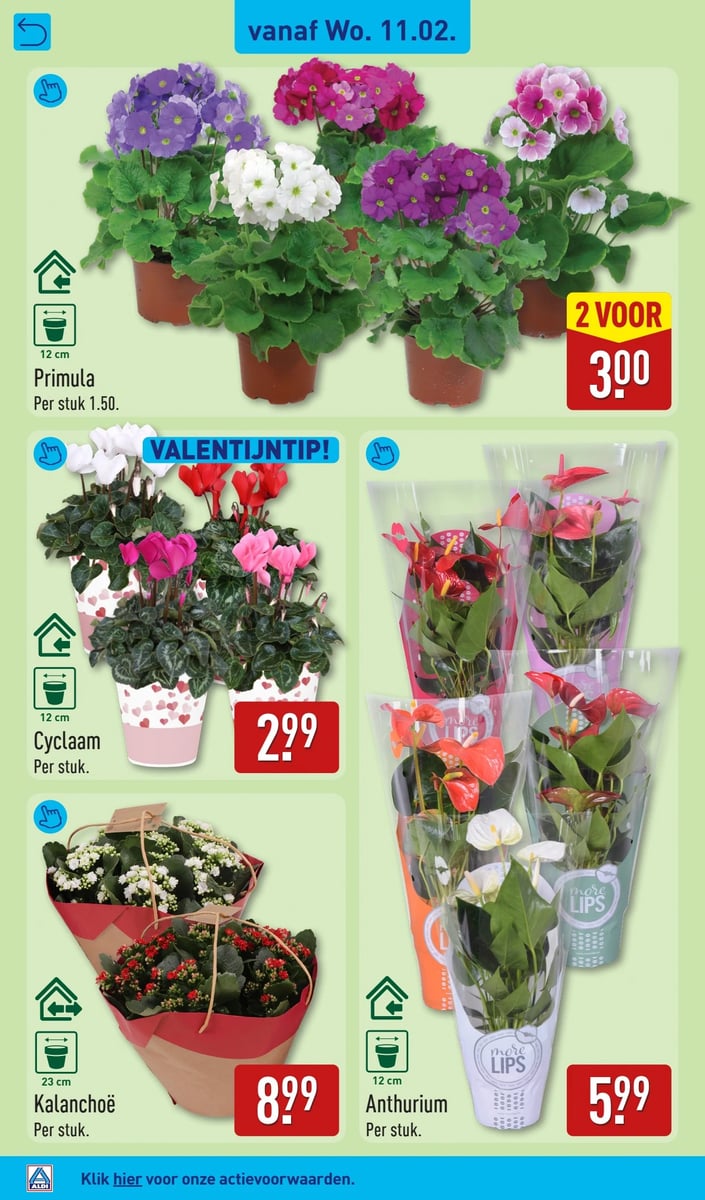 ALDI folder – pagina 38