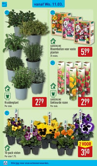 Gekleurde rozen aanbieding bij Aldi – geldig van 09.03.2026 t/m 15.03.2026
