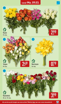 Tulpen aanbieding bij Aldi – geldig van 09.03.2026 t/m 15.03.2026