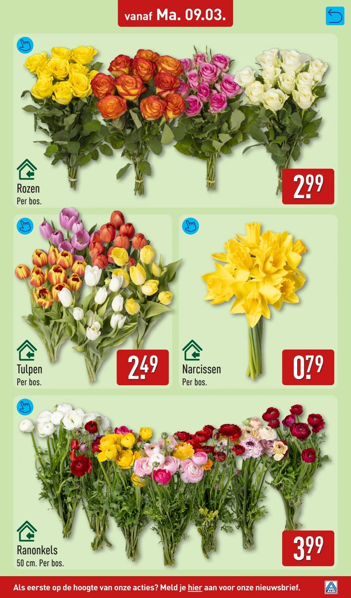ALDI folder – pagina 31