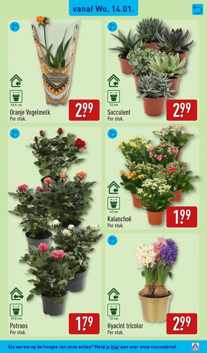 ALDI folder – pagina 29