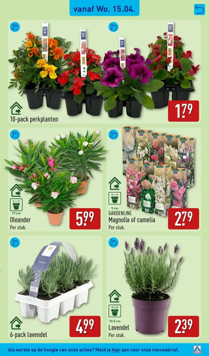 ALDI folder – pagina 41