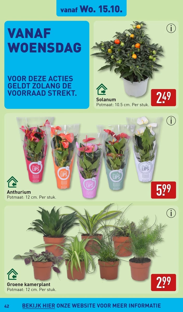 ALDI folder – pagina 42