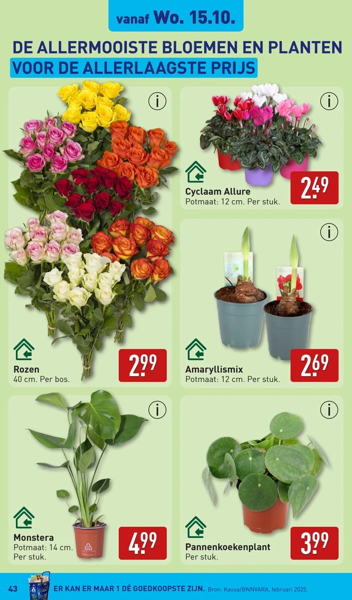 ALDI folder – pagina 43