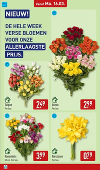 Rozen aanbieding bij Aldi – geldig van 16.03.2026 t/m 22.03.2026