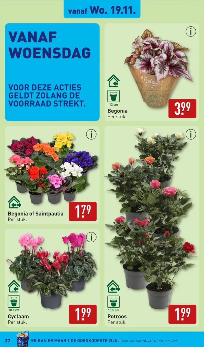ALDI folder – pagina 37