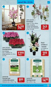 Kunstgeraniums aanbieding bij Aldi – geldig van 20.04.2026 t/m 26.04.2026