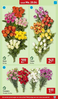 Tulpen aanbieding bij Aldi – geldig van 20.04.2026 t/m 26.04.2026