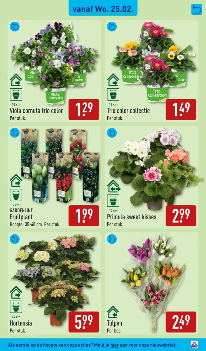 ALDI folder – pagina 29