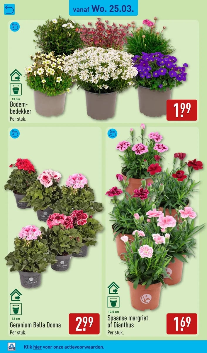 ALDI folder – pagina 40