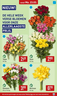Tulpen aanbieding bij Aldi – geldig van 23.03.2026 t/m 29.03.2026