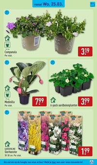 6-pack aardbeienplanten aanbieding bij Aldi – geldig van 25.03.2026 t/m 29.03.2026